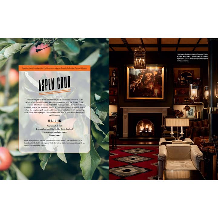 Gibbs Smith - Vente Maison et jardin - Style Alpin4