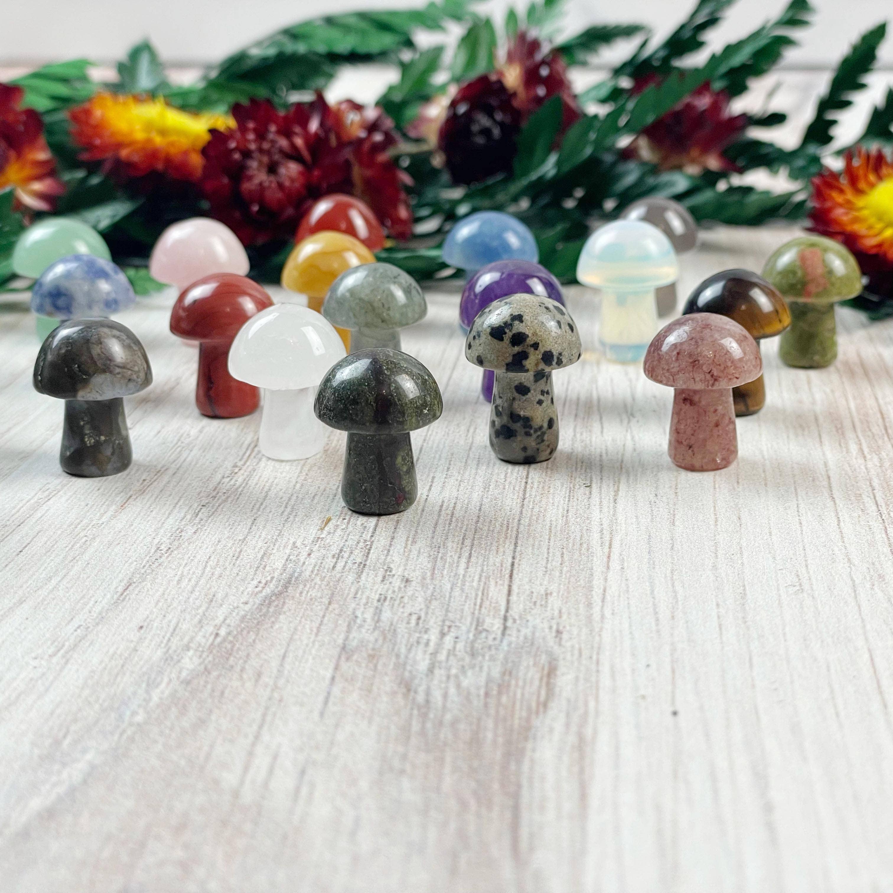 Ewelina Pas Jewelry - Wholesale Spiritual Stone/Crystal - MINI Gemstone Mushroom Pocket Stone6