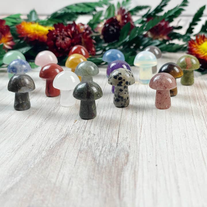 Ewelina Pas Jewelry - Wholesale Spiritual Stone/Crystal - MINI Gemstone Mushroom Pocket Stone6