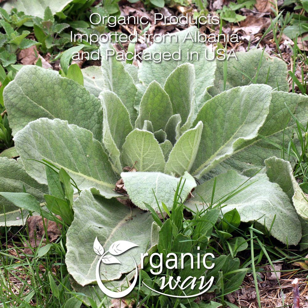 Organic Way LLC – wholesale Herbs – Mullein Leaf Powder (Verbascum thapsus) - European Wild-Harvest | Kosher Certified | Vegan, Non GMO & Gluten Free | USDA Certified | Origin - Albania1