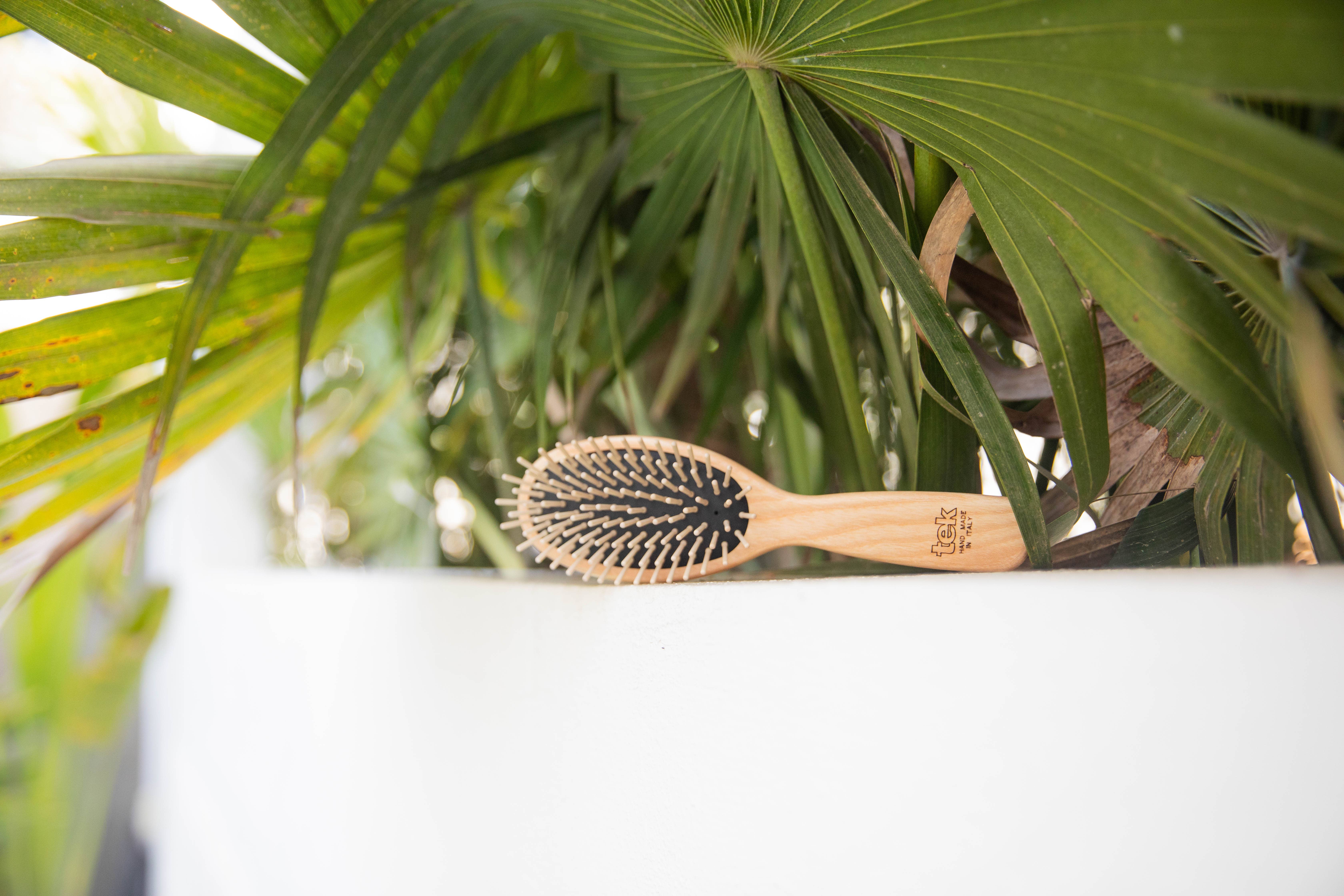 Tek Brushes – Engroshandel Hårbørste/kam – Stor oval børste med korte tænder i asketræ2