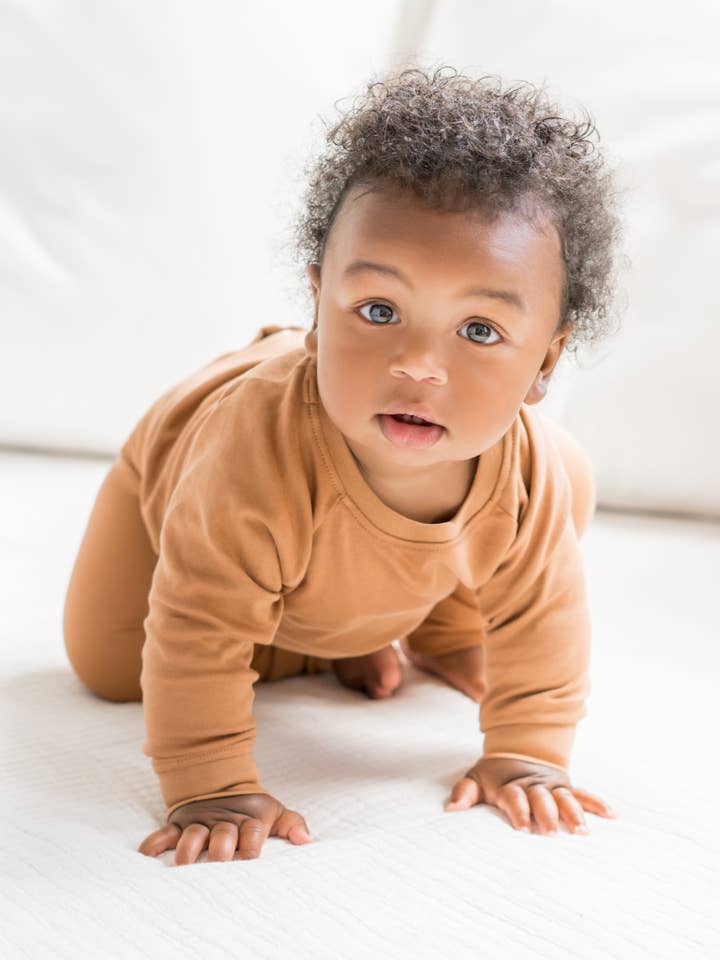 Colored Organics - Wholesale Sweatshirt - Kids - Organic Baby and Kids Portland Pullover - Ginger