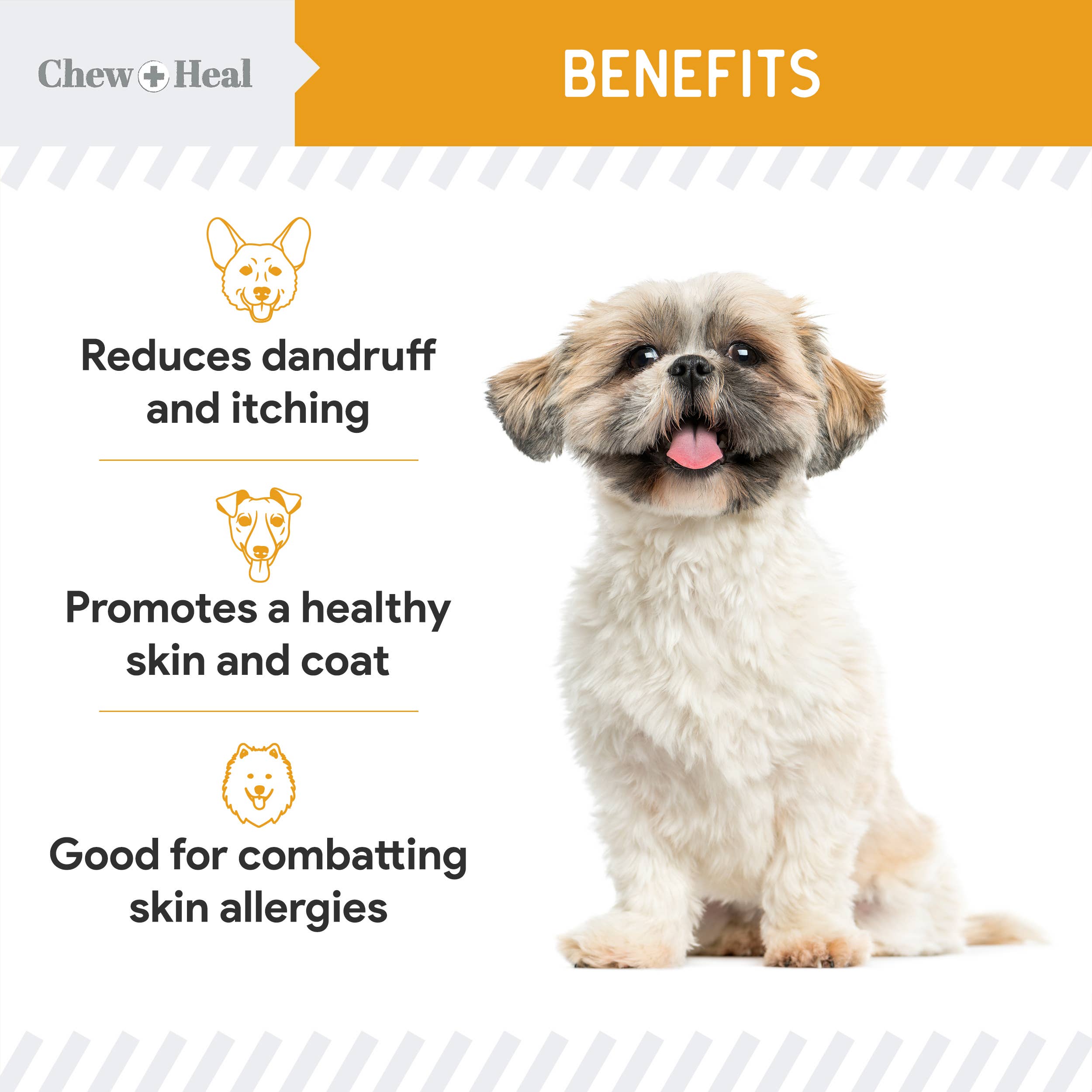 Chew + Heal - Wholesale Pet Supplement - Dog - Norwegian Salmon Oil Skin & Coat Supplement for Dogs & Cats10