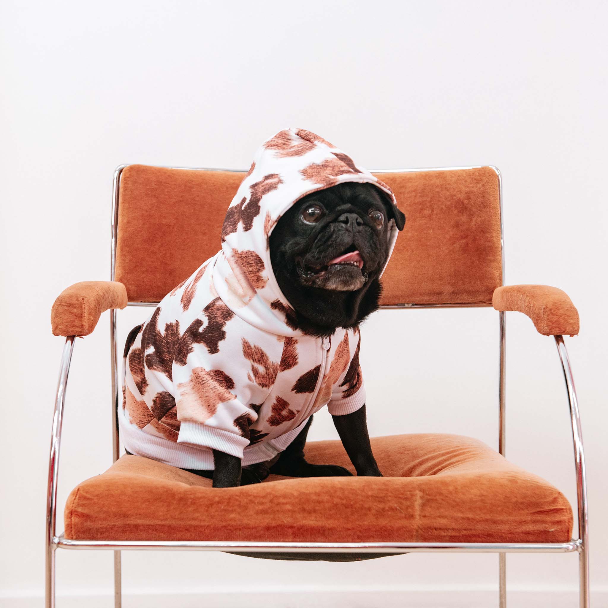 Frenchie - Wholesale Hondenhoodie - Hond - Frenchie Hondenhoodie - Moo7