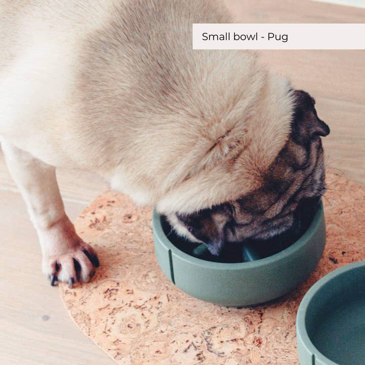 PINO – Großhandel Futternapf – Hund – Langsamfutterschalen - Kollektion 202423