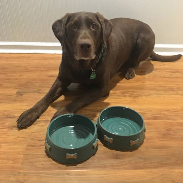 Large Pet Bowl with dog bones for wholesale by Fatty Frog Pots Handmade Pottery