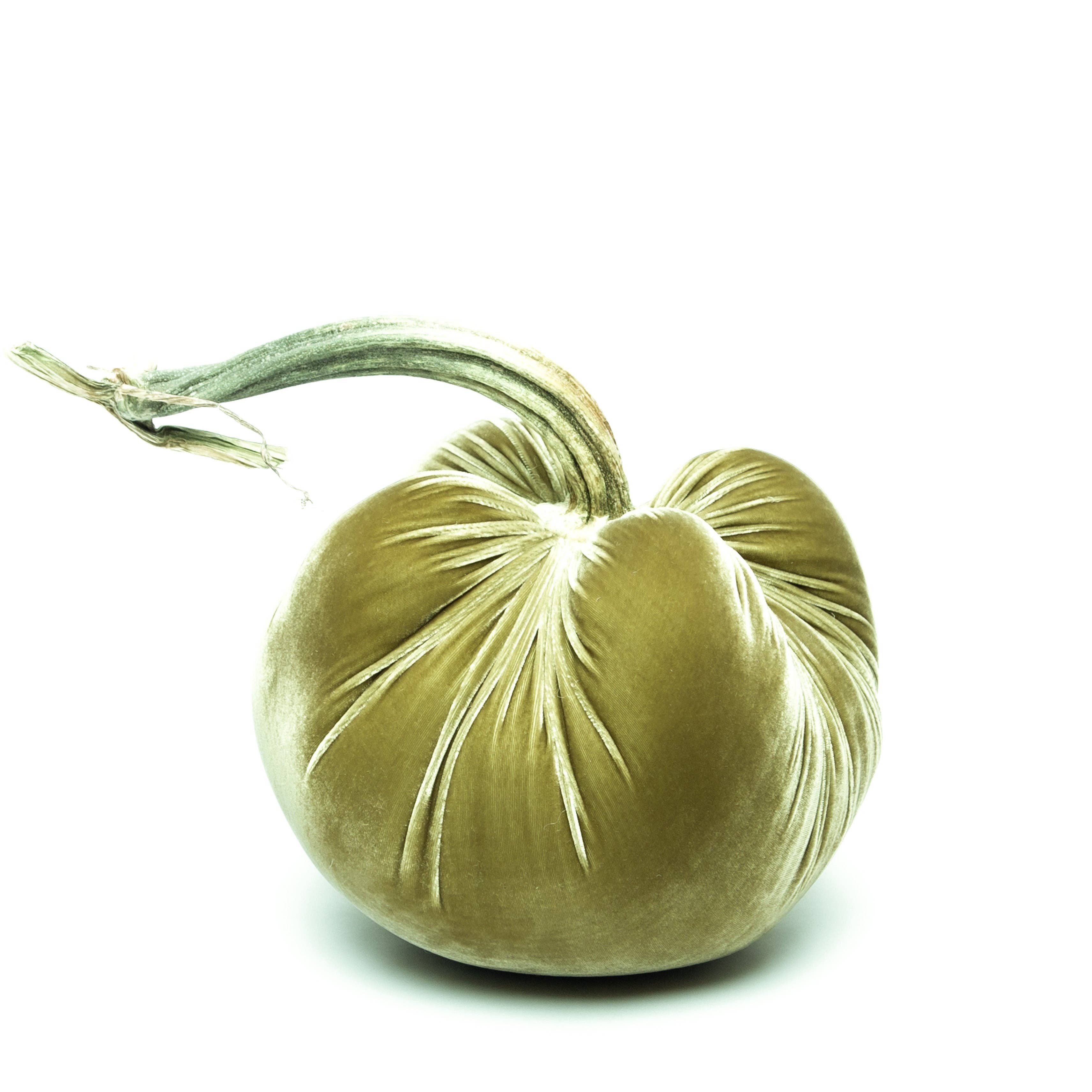 Hot Skwash - Wholesale Decorative Tabletop Object - Celery Silk Velvet Pumpkin1