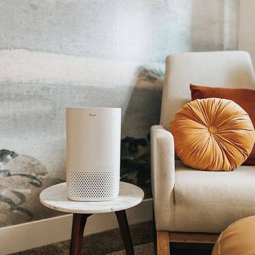 Crane Baby - Wholesale Air Purifier - Air Purifier With HEPA & UVC Light - Up to 250 sq. ft.7