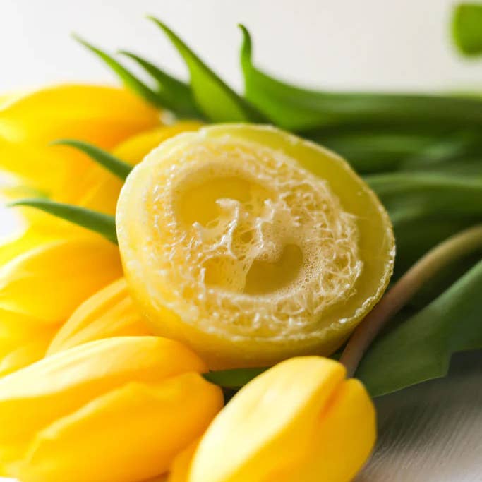 Lend Me Some Sugar Bath Company - Wholesale Bar Soap - Mango Colada Loofah Soap1