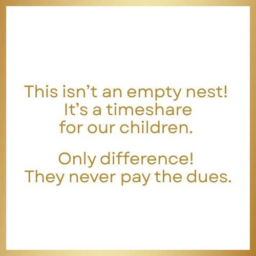 Maven Home - Wholesale Disposable Napkin - Linen-Feel Cocktail Napkins, Empty Nest1