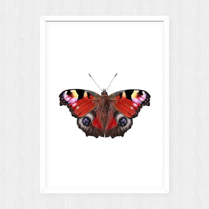 Butterfly Print-Painting-Art Print-Science Illustration for wholesale by Svhillustration