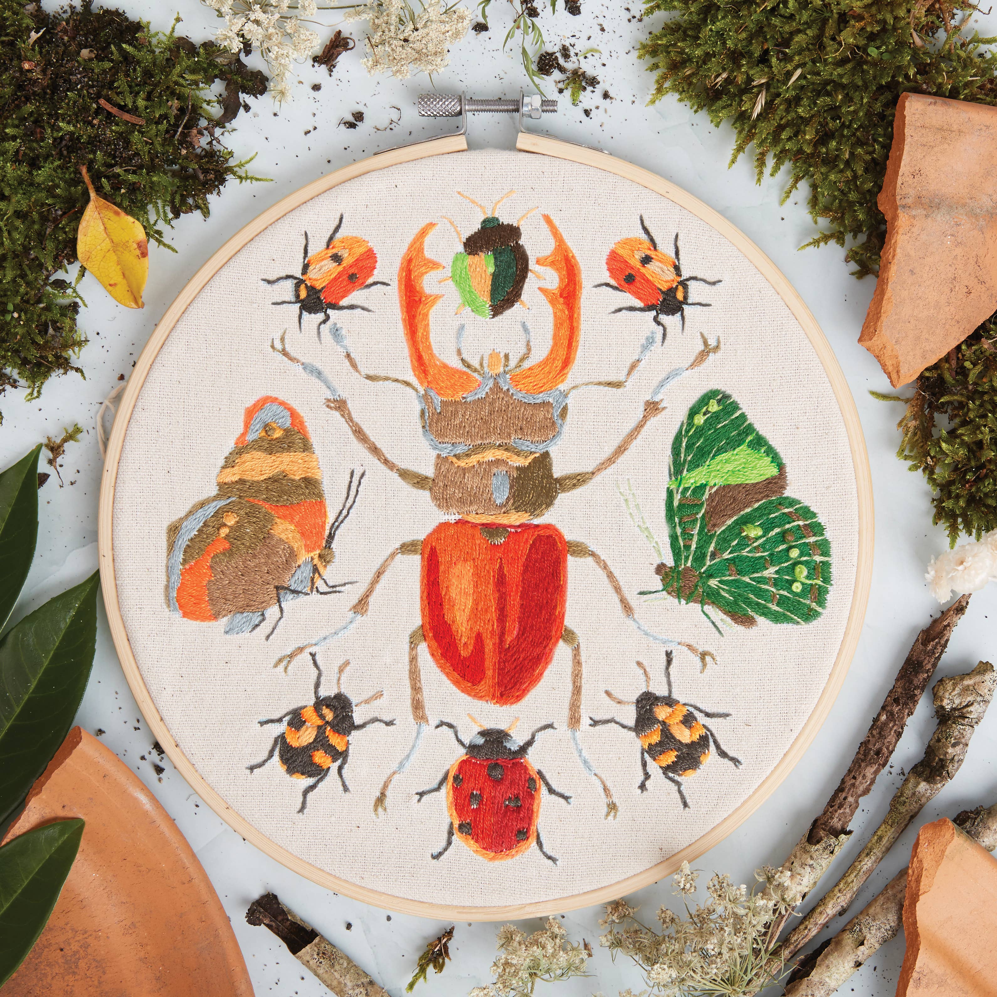 West Design Products - Wholesale Borduurbenodigdheden - Natuurhistorisch Museum Borduurraam Kit, Insecten 8"7