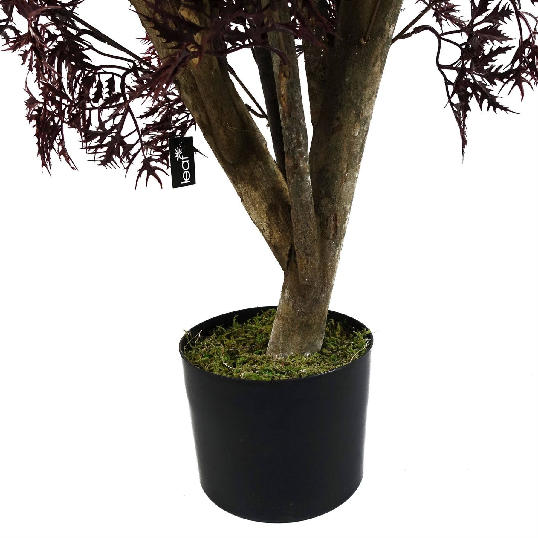 Leaf Design UK LTD – wholesale Artificial plant – Leaf Design 120cm Red Aralia Tree Artificial UV Outdoor4