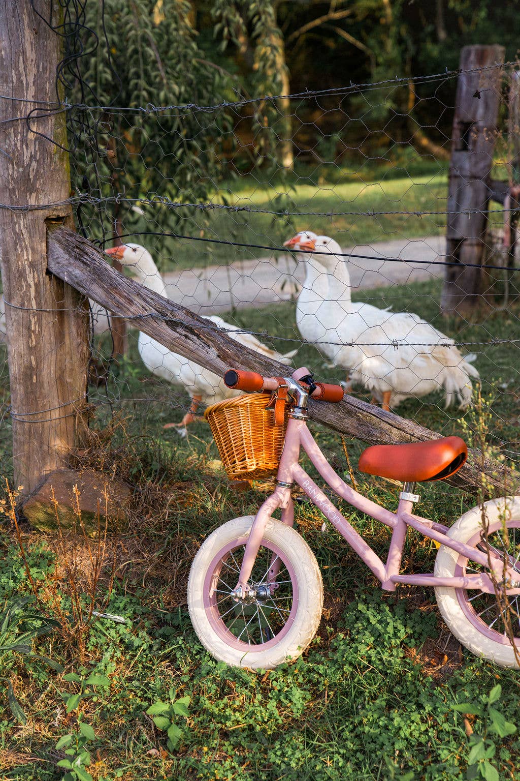 Banwood SL Europe - Wholesale Bike/Scooter - Kids - BANWOOD BALANCE BIKE FIRST GO VINTAGE - DUSTY PINK4