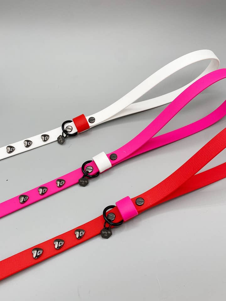 Be Mine Pink Biothane Valentines Dog Leash for wholesale by Lucky Me Co