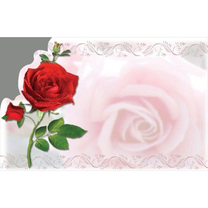Valentine Enclosure Cards 50 PK Single Red Rose for wholesale by Lucknow Southern and Company
