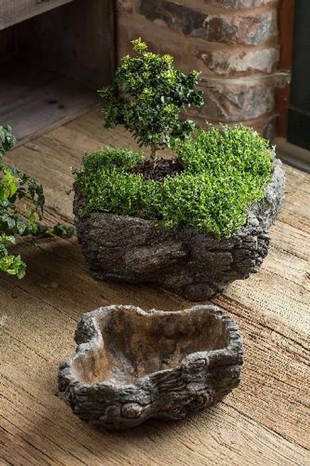 Vagabond Vintage - Wholesale Plant pot - Cement Burled Bark Planter - Large