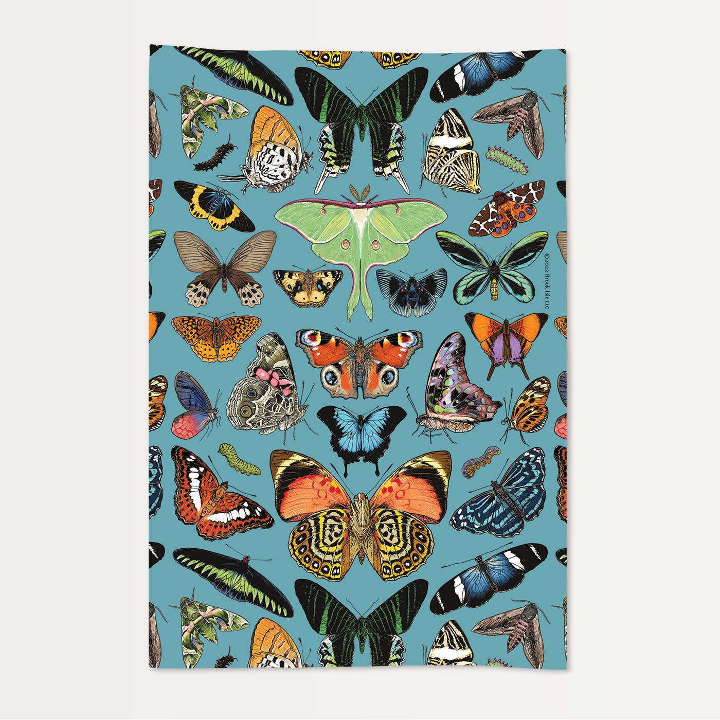 Brook Isle - Venta al por mayor Paños de cocina - ¡Oferta! Paño de cocina de saco de harina con mariposas azules1