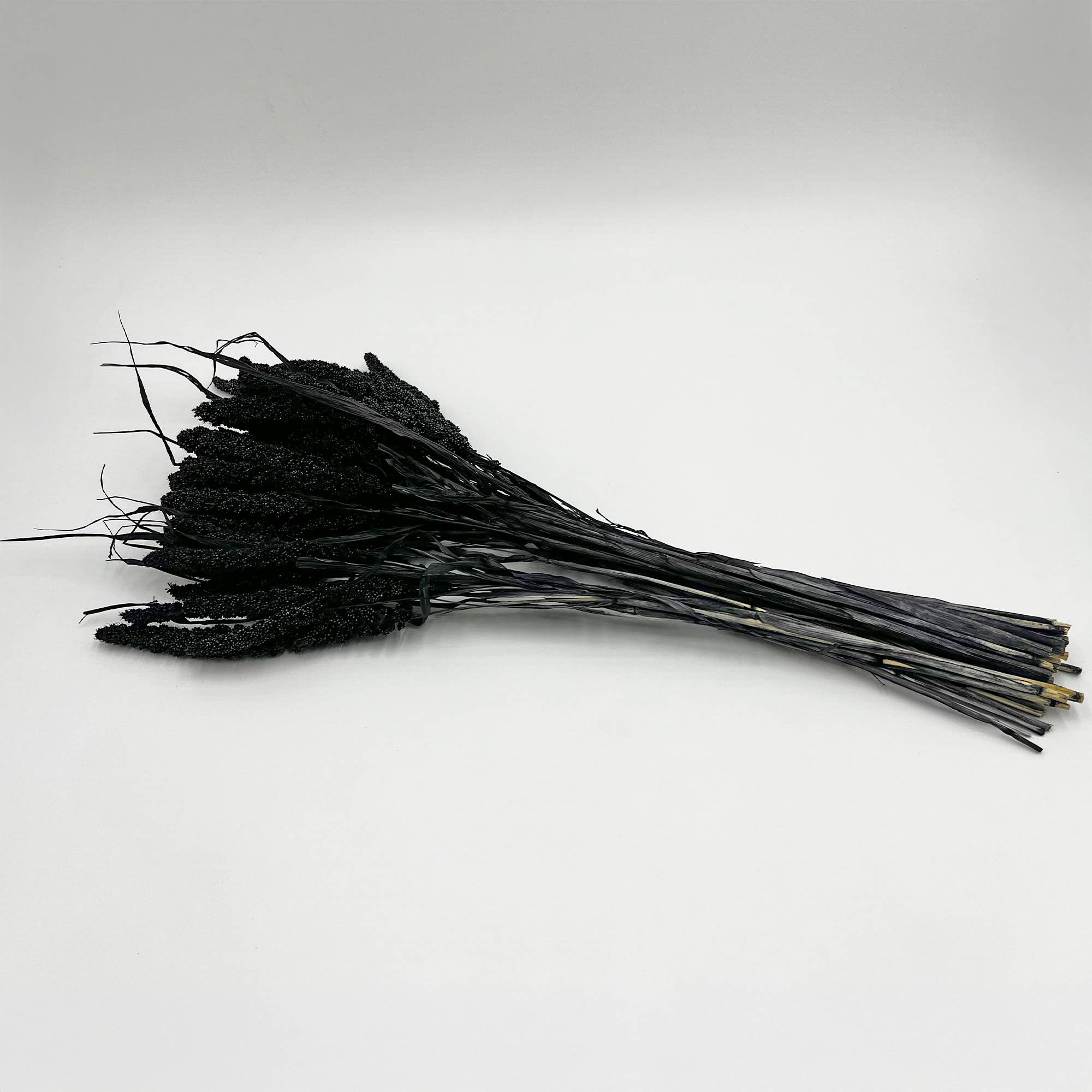 2626 Designs - Wholesale Dried/Pressed Flowers - Dried Preserved Millet Flower 21" Multiple Colors33