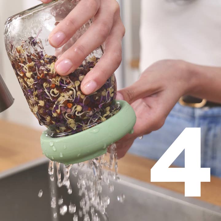 Eco warehouse - Wholesale Kitchen Tool/Gadget - Sprout Huggers ® Sage Green8