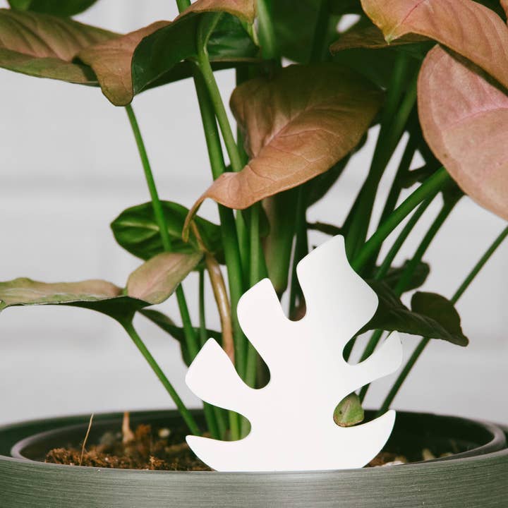 PlantDoc – wholesale Garden tool – Mini Monstera PlantDoc: Color-Change Plant Moisture Meter
