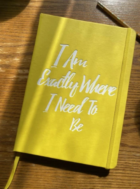 PleaseNotes Goods - Affirmation-Filled Goods - Wholesale Journal/Diary - The Guided Gratitude Journal for Stress Relief0