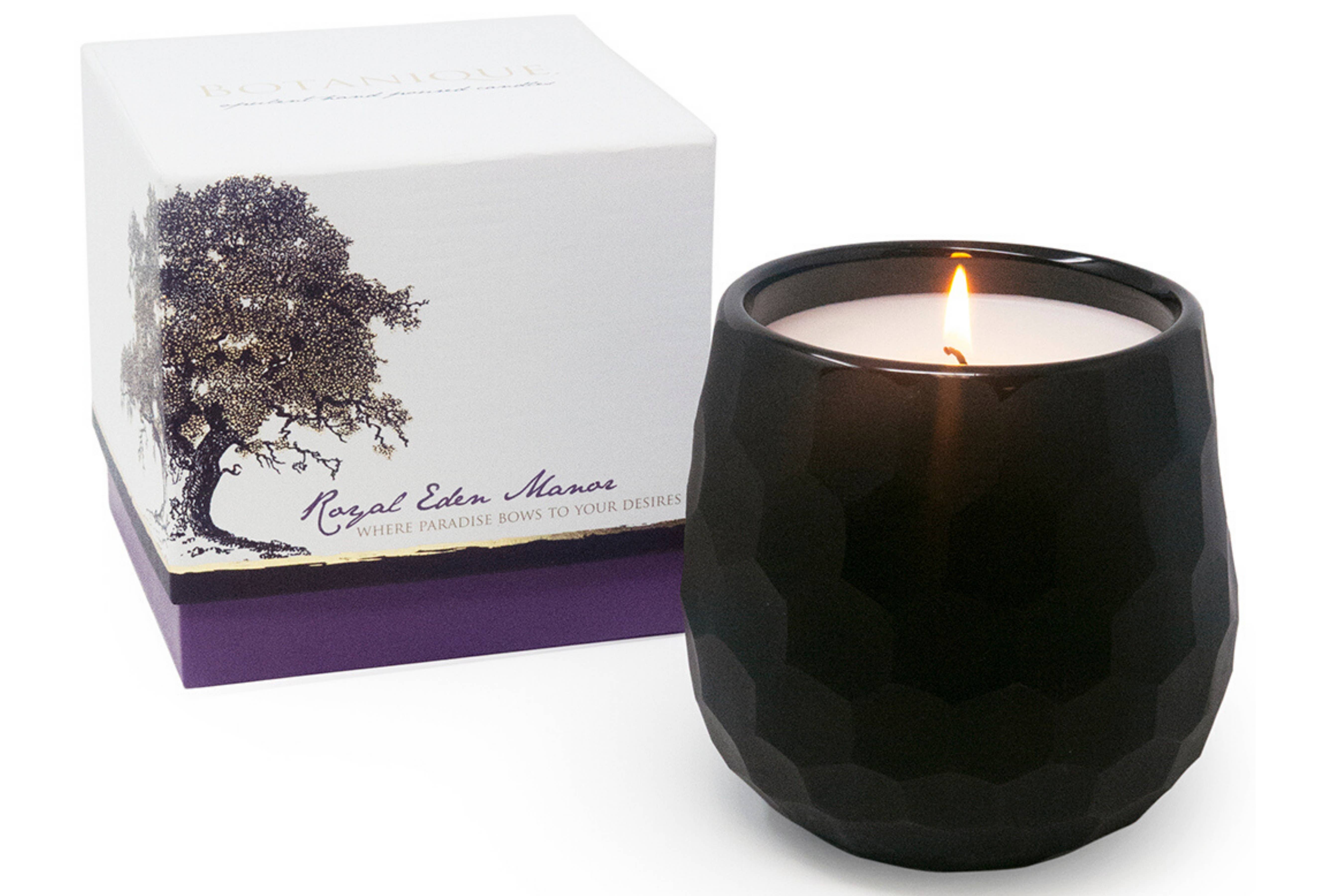 Andaluca - Wholesale Jar/Filled Candle - Botanique Luxe 16 oz Black Candle2