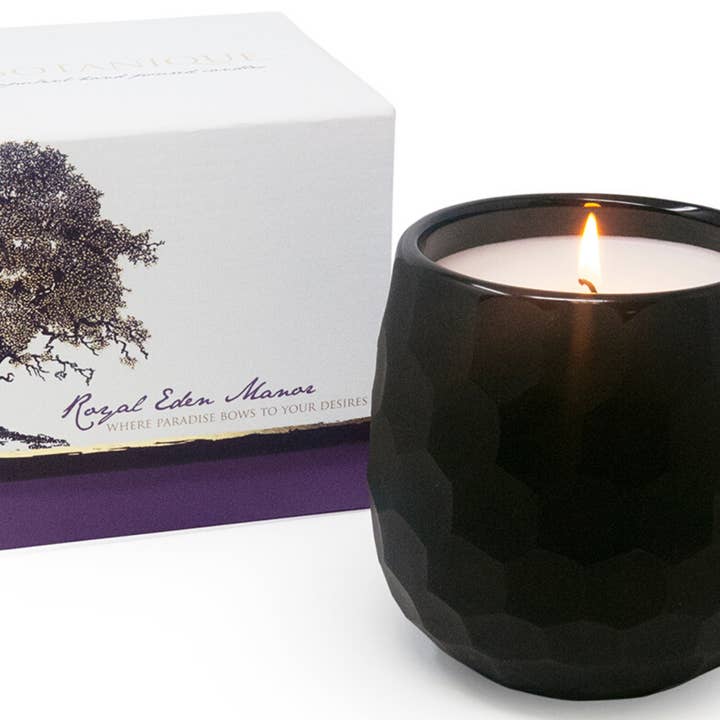 Andaluca - Wholesale Jar/Filled Candle - Botanique Luxe 16 oz Black Candle2