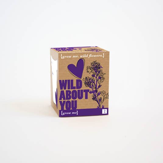 Wild About You Grow Me for wholesale by Gift Republic