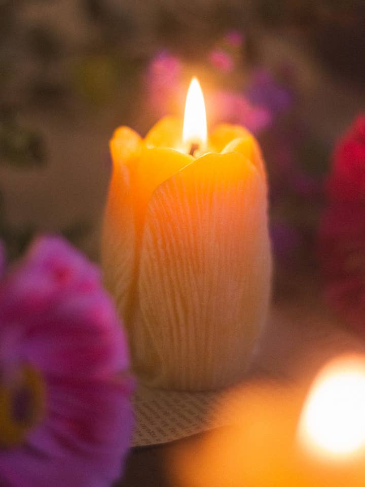 Vela de cera de abelhas em forma de tulipa por atacado de The Ramblin' Bee