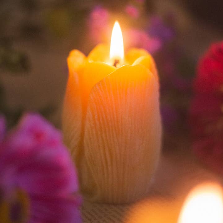 The Ramblin' Bee - Wholesale Novelty Candle - Tulip Shaped Beeswax Candle0