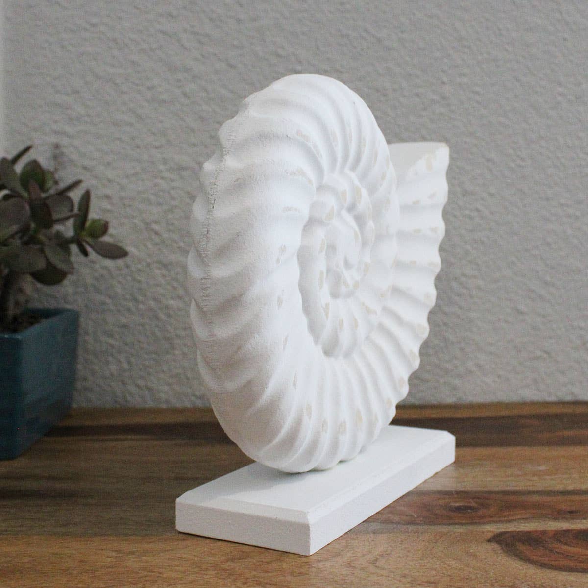 CB Home Collection - Wholesale Decorative Tabletop Object - 7.75" White Wash Nautilus Shell - Tabletop Decor1