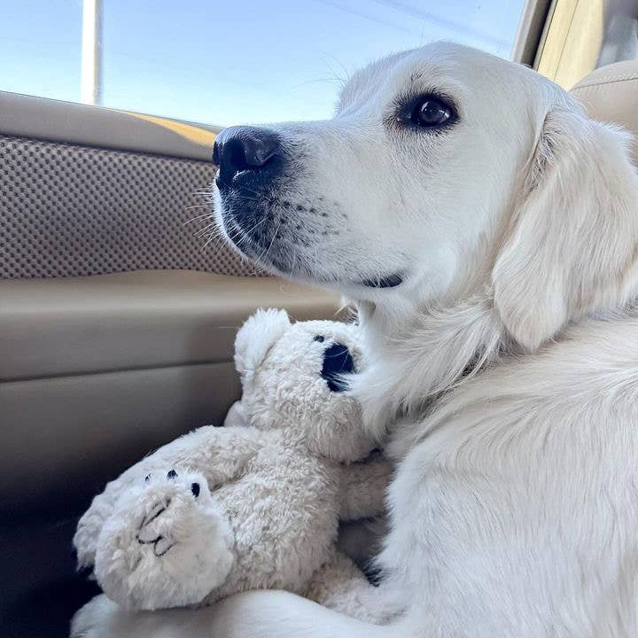 Fur Elise Pets - Wholesale Pet Plush Toy - Dog - Koko Maxi Plushie20