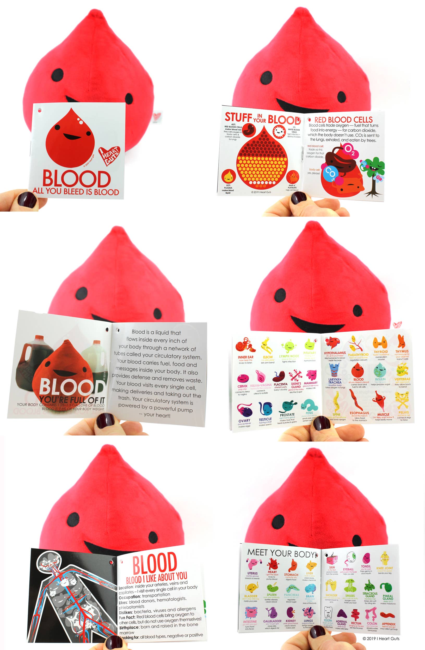 I Heart Guts | Organ Plushies Wholesale – wholesale Stuffed/plush toy – Kids & baby – Blood Drop Plush - All You Bleed is Blood10