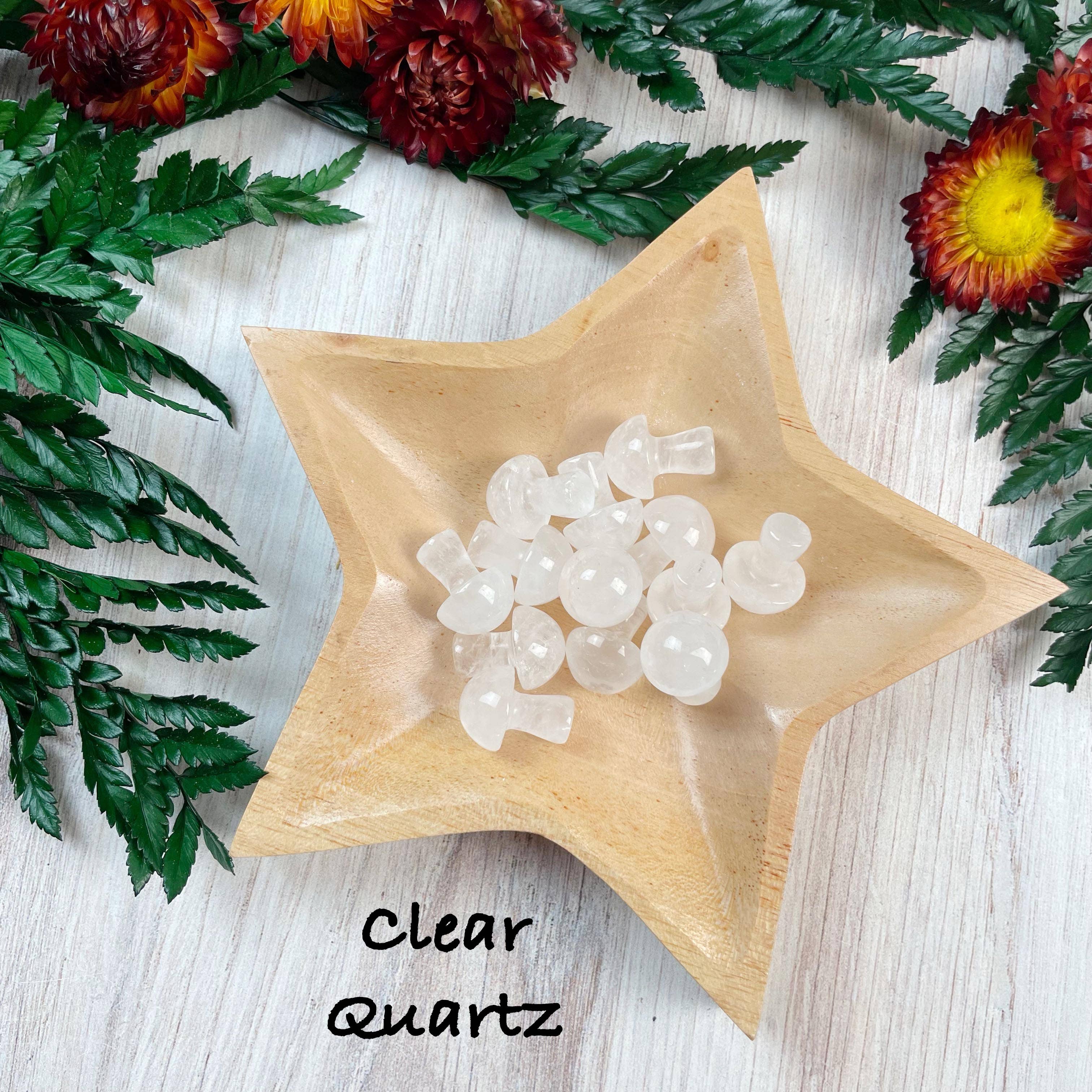 Ewelina Pas Jewelry - Wholesale Spiritual Stone/Crystal - MINI Gemstone Mushroom Pocket Stone7