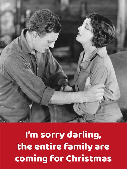 Cartão de Natal engraçado - Família Inteira para o Natal por atacado de Comedy Card Company