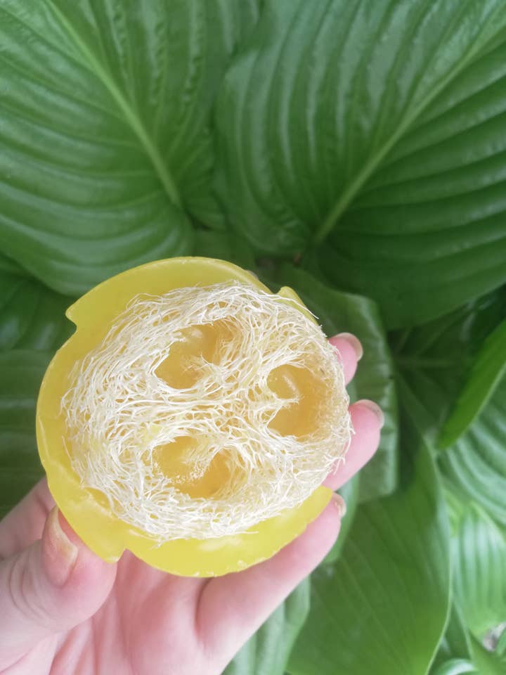 loofah soap for wholesale by Buria_cosmetiks