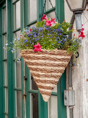 Cone Wood Woven Hanging Basket, Natural, 12in, Mammoth for wholesale by SuperMoss