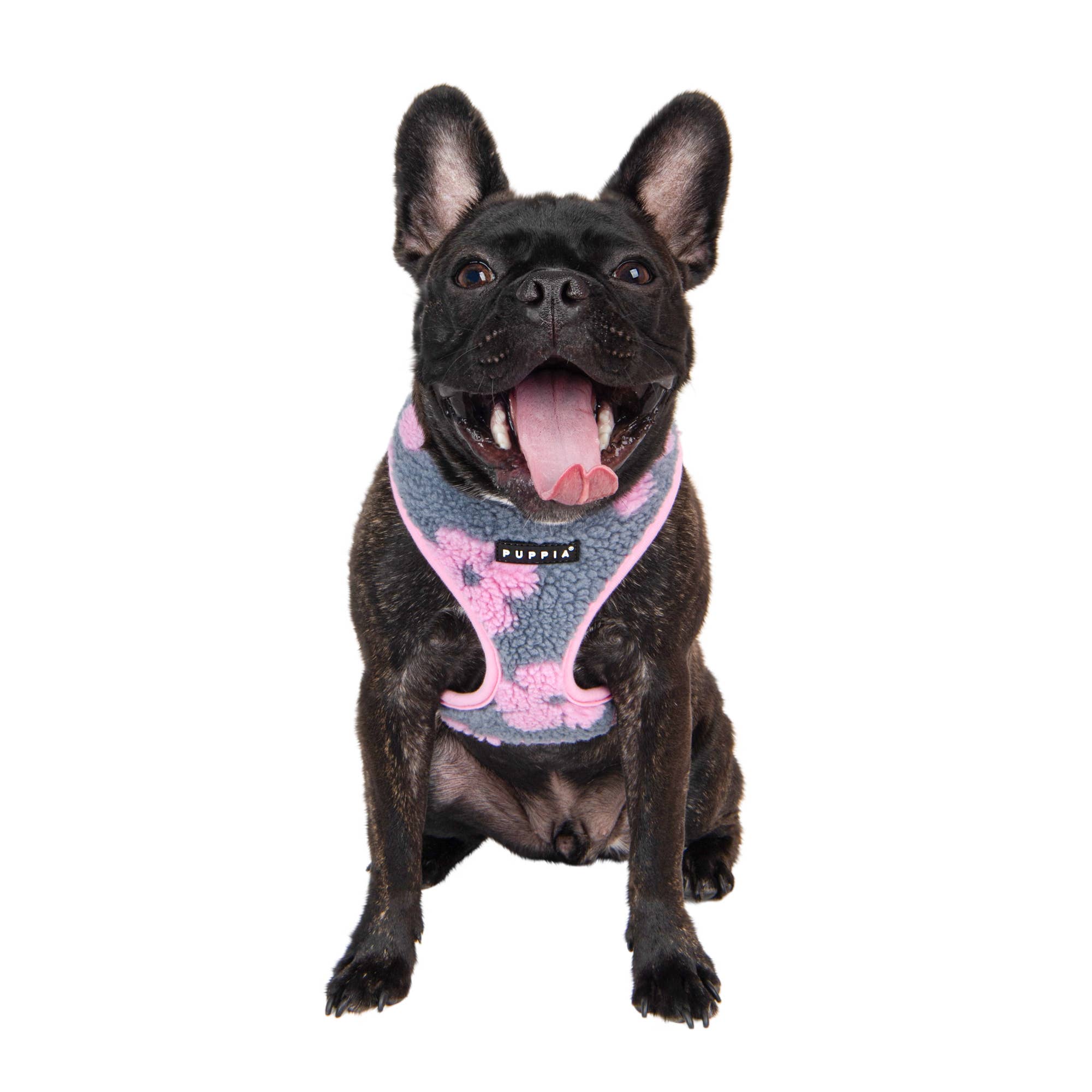 Puppia International Inc. - Wholesale Pet Harness - Dog - REN DOG HARNESS OVER-THE-HEAD ADJUSTABLE FLORAL5