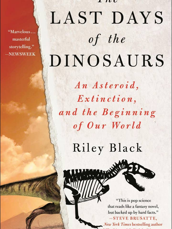 Last Days Of The Dinosaurs: Asteroid & World's Beginning for wholesale by Macmillan Publishers