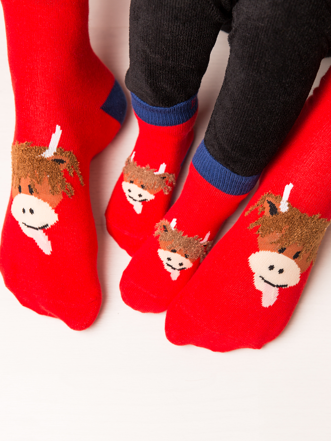 Blade and Rose Limited - Wholesale Socks - Unisex - Hamish Highland Cow Adult Socks2