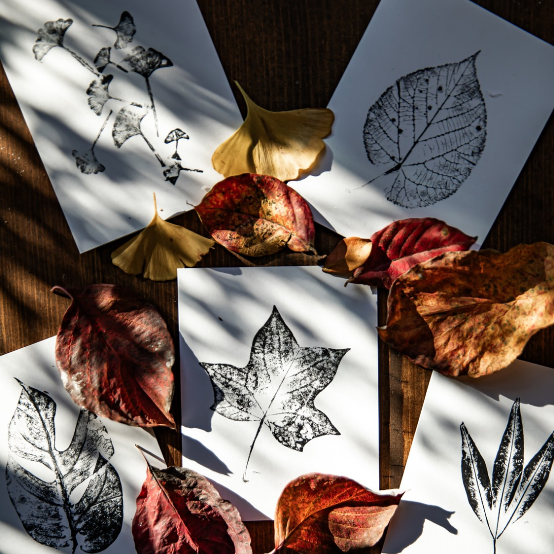 Reclaimed Gardens - Wholesale Stationery/Notecard Set - Botanical Monoprint Card Collection2