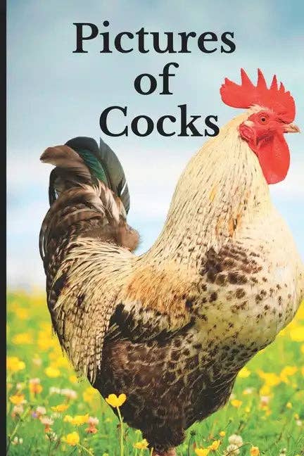 Books by splitShops - Wholesale Mystery Novel - Pictures of Cocks: Funny White Elephant, Yankee Swap, Secret Santa Gift, (Stupid Gifts Ideas) - Paperback0