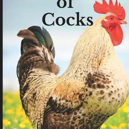 Books by splitShops - Wholesale Mystery Novel - Pictures of Cocks: Funny White Elephant, Yankee Swap, Secret Santa Gift, (Stupid Gifts Ideas) - Paperback