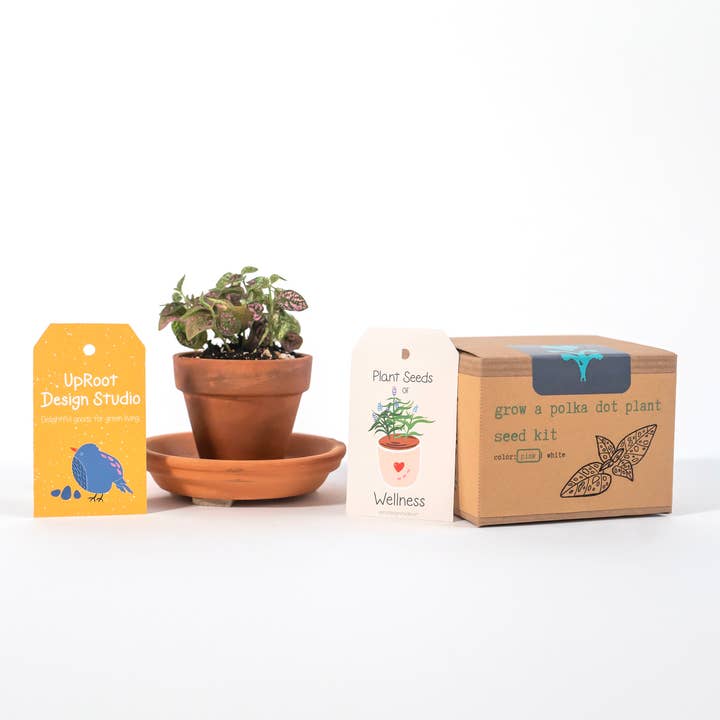 Kit per la coltivazione consapevole delle piante a pois rosa (inizia a crescere) per la vendita all'ingrosso da parte di UpRoot Design Studio