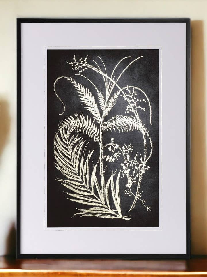 Noir Botanical Framed & Glazed 20x27.5" for wholesale by The Light Garden Collection