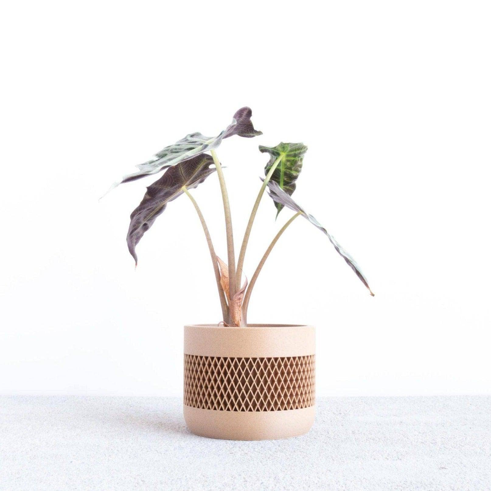 MINIMUM DESIGN - Wholesale Plantenpot - MAT - Minimalistische houten plantenbak voor binnen7