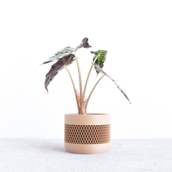 MINIMUM DESIGN - Wholesale Plantenpot - MAT - Minimalistische houten plantenbak voor binnen7