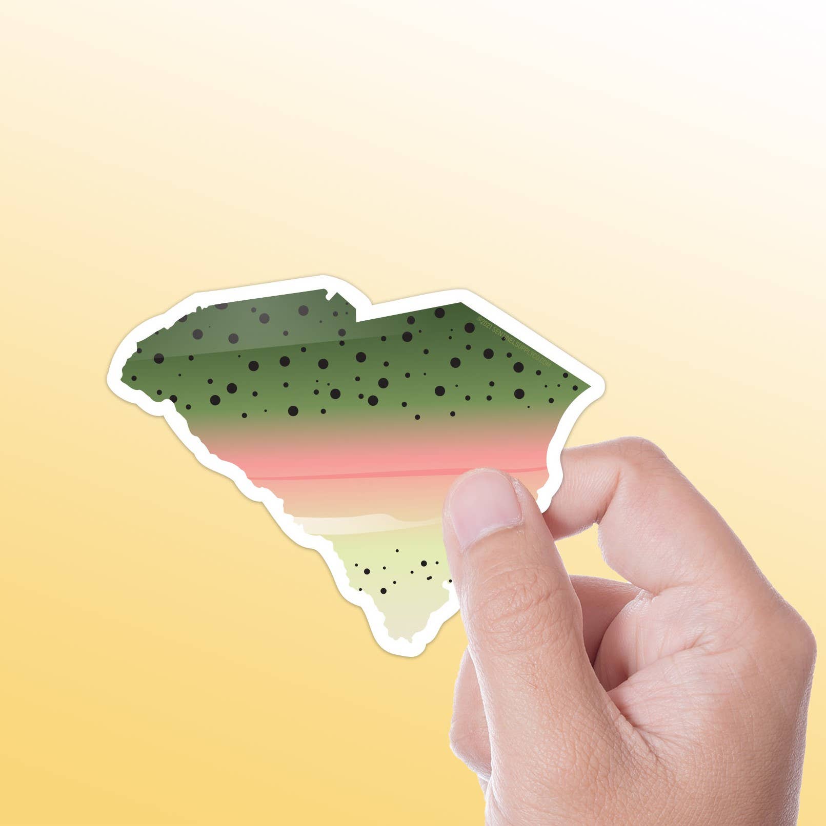 Sentinel Supply – wholesale Sticker – Rainbow Trout South Carolina Fly Fishing Sticker - SC Decal0