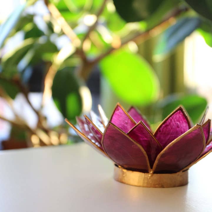 Rauha Crafts - Venta al por mayor Candelabros - Portavelas de concha Capiz en forma de flor de loto - color morado5